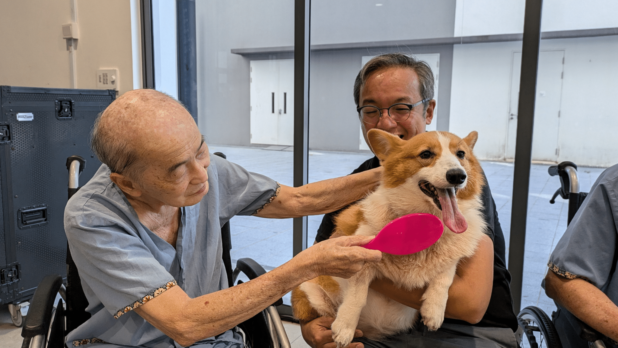 Two days a week at St John's–St Margaret's Nursing Home, volunteers like Dr Andrew Chen (right) take their dogs to visit the elderly residents like Uncle Lim (left), who took a liking to brushing the dogs. Photo by Gracia Lee.